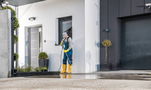Best Rust Removal  in Homewood, IL